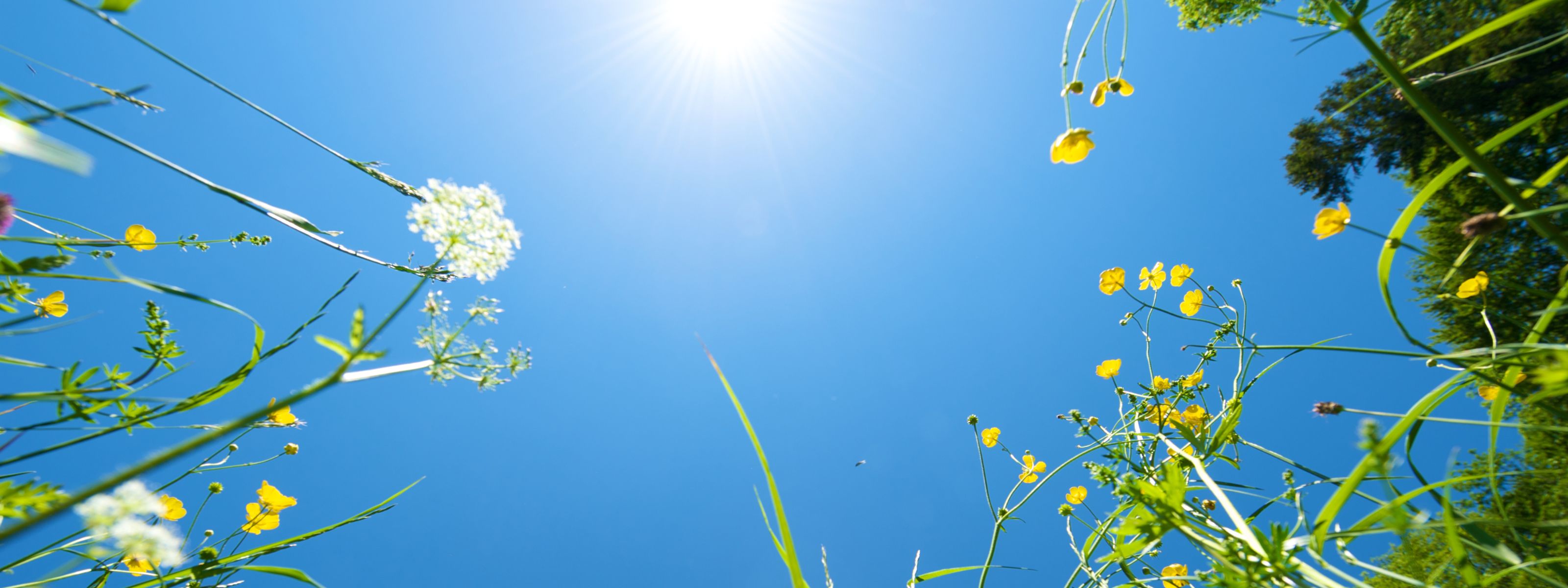 Sommerpause bis 4. September 2026